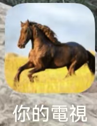 安卓电视直播APK yourtv